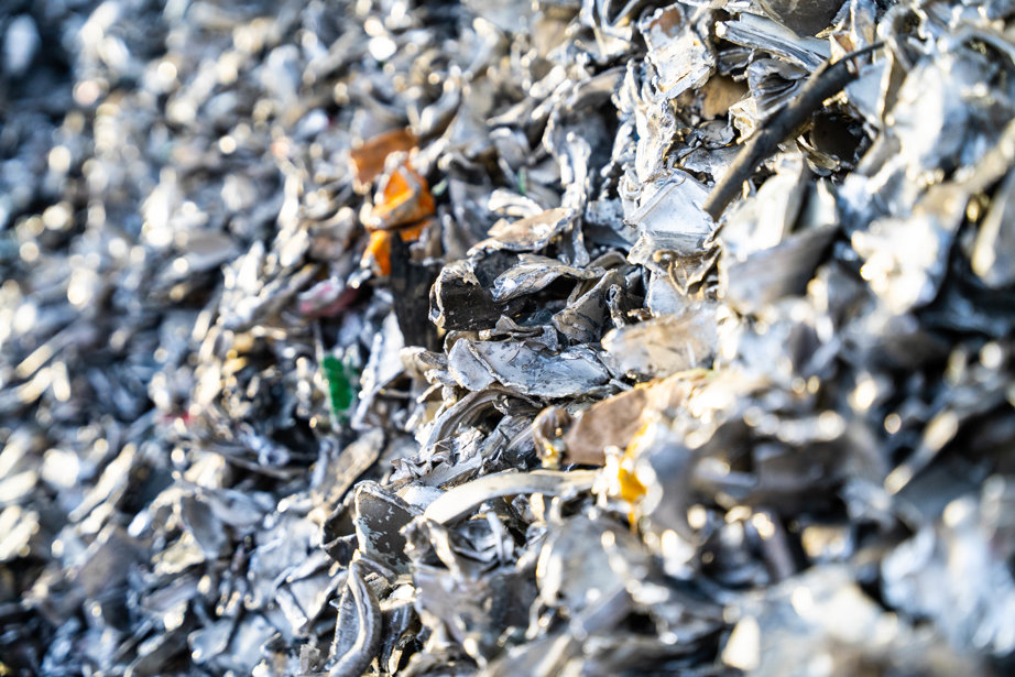 a crab on the ground